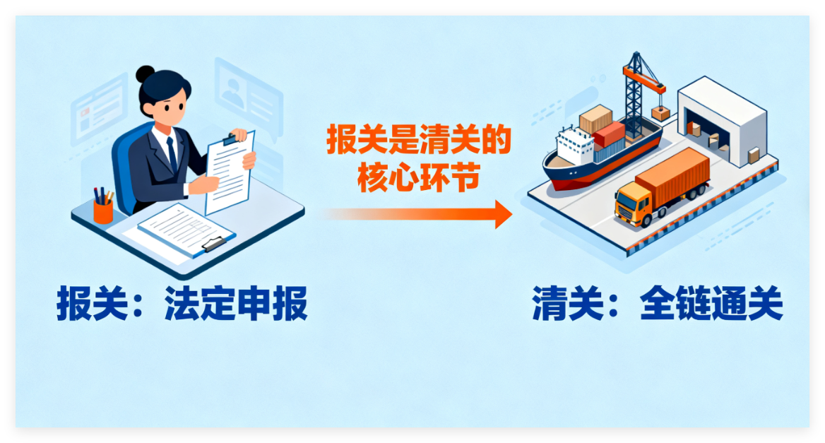 为什么你外贸订单总卡关？因为没搞懂报关清关！这份干货指南必须存好